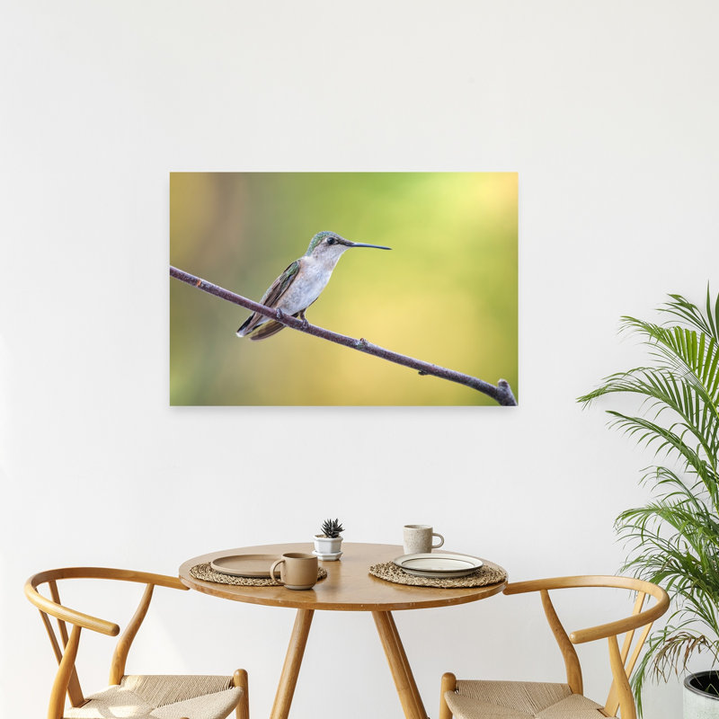 Peaceful Green Hummingbird Delicate Peaceful Serene Hummingbird Bird Forest Nature Wall Art Print by Atul Saluja - Print