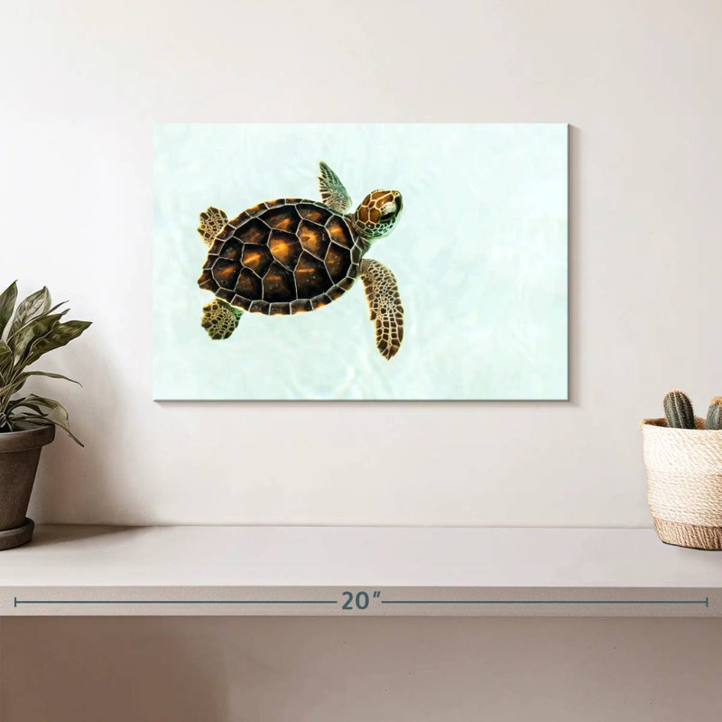 Bébé tortue Brampt, H 8 po x l 12 po