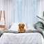 Couverture de lit imperméable Pupprotector-40873315-40873314
