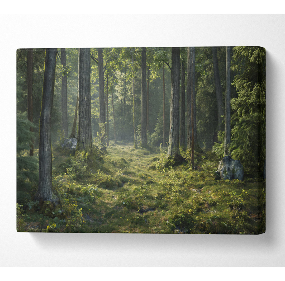 Old Forest Greenery - Kunstdrucke auf Leinwand ohne Rahmen