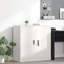 Storage Cabinet-17734650