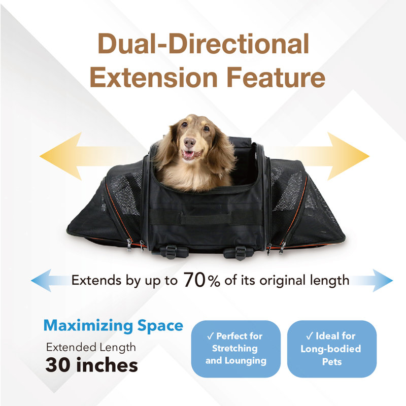 JetPaw Gray Expandable 3-in-1 Pet Carrier Stroller Backpack