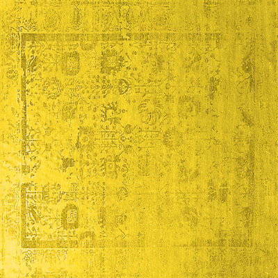 Oriental Indoor Rug