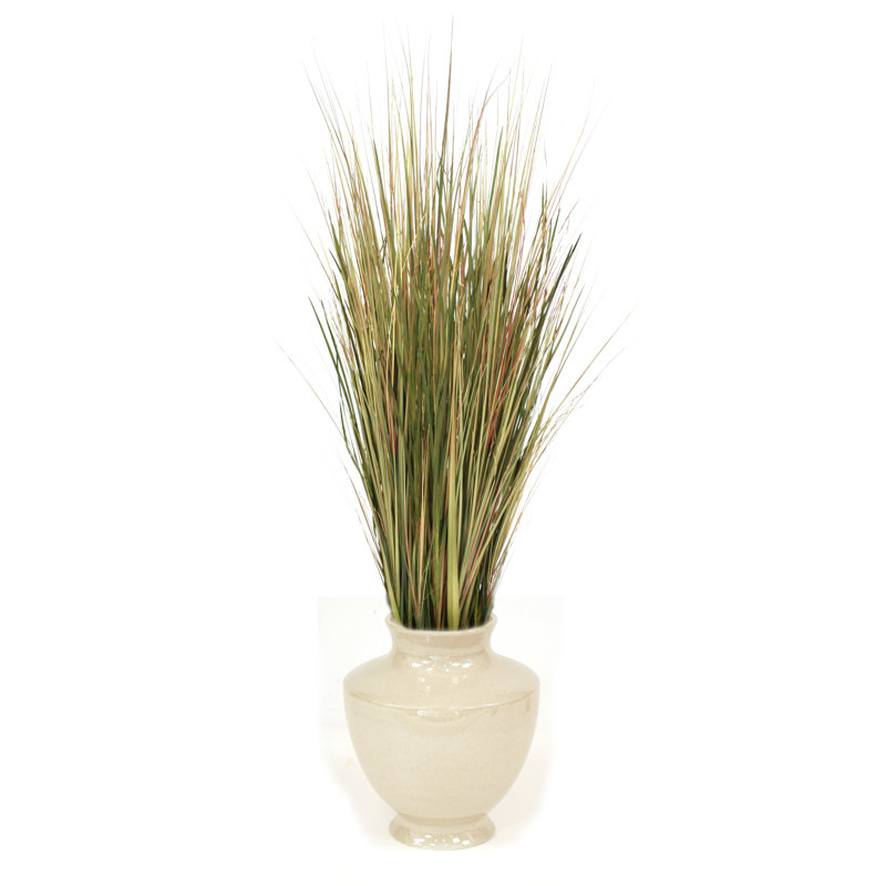Prairies mixtes dans l’urne