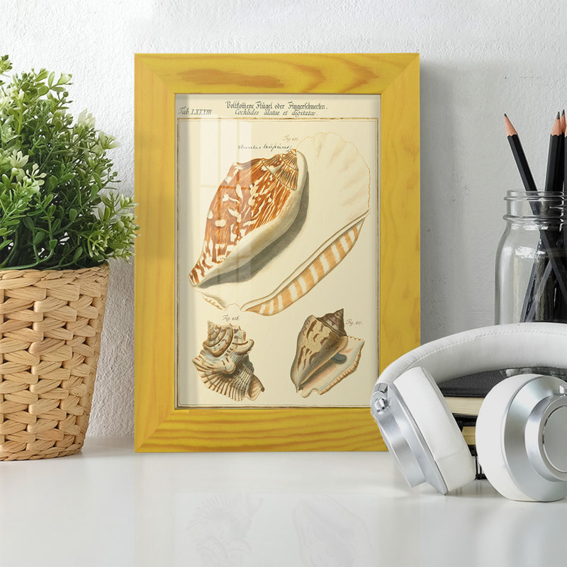 Coquilles de martini antique III sur papier, H 8 po x l 6 po x P 1 po, Jaune