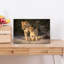 «Gentle Lioness Cub Serene Contemporary Cat Lion Landscape Nature», reproduction d'art murale