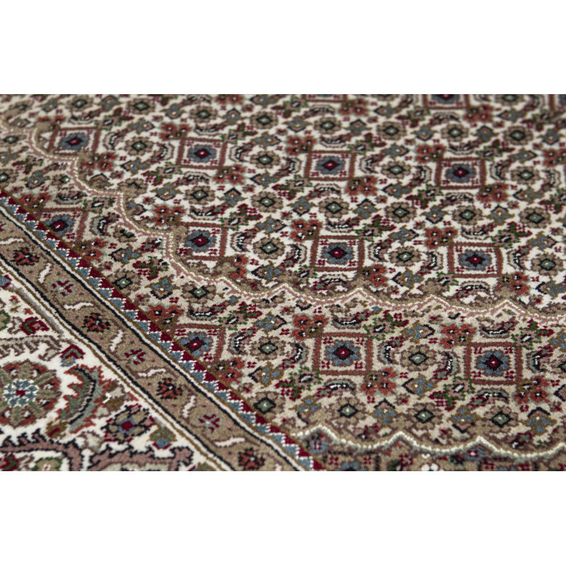 Oriental Area Rug