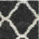 Darrold Hudson Shag Performance Geometric Rug