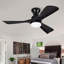 Ventilateur de plafond encastré noir Hot Lights