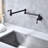 Dilon Kitchen Faucet-65223065