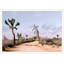Desert Landscape 3 Print by Christopher Kennedy-63732805-63732806