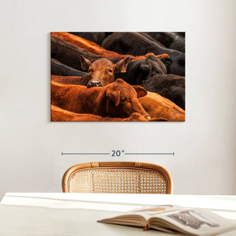 Beef Cattle, 16" H x 24" W