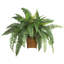 23'' Faux Fern Plant in Wicker/Rattan Pot