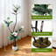 Plant-2109913291