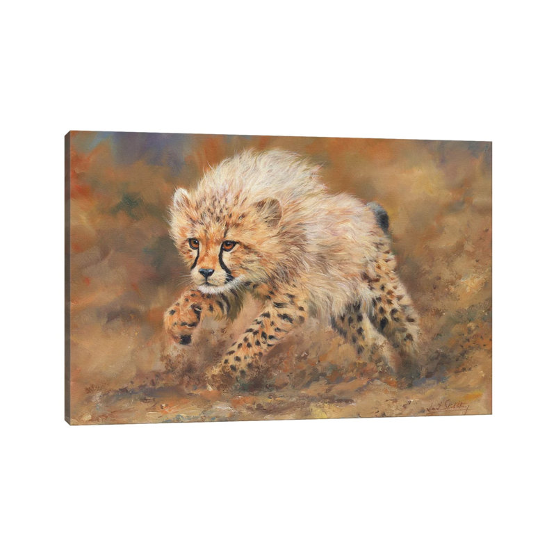 Cheetah Dust by David Stribbling - Wrapped Canvas Print, 30.48 cm H x 45.72 cm W