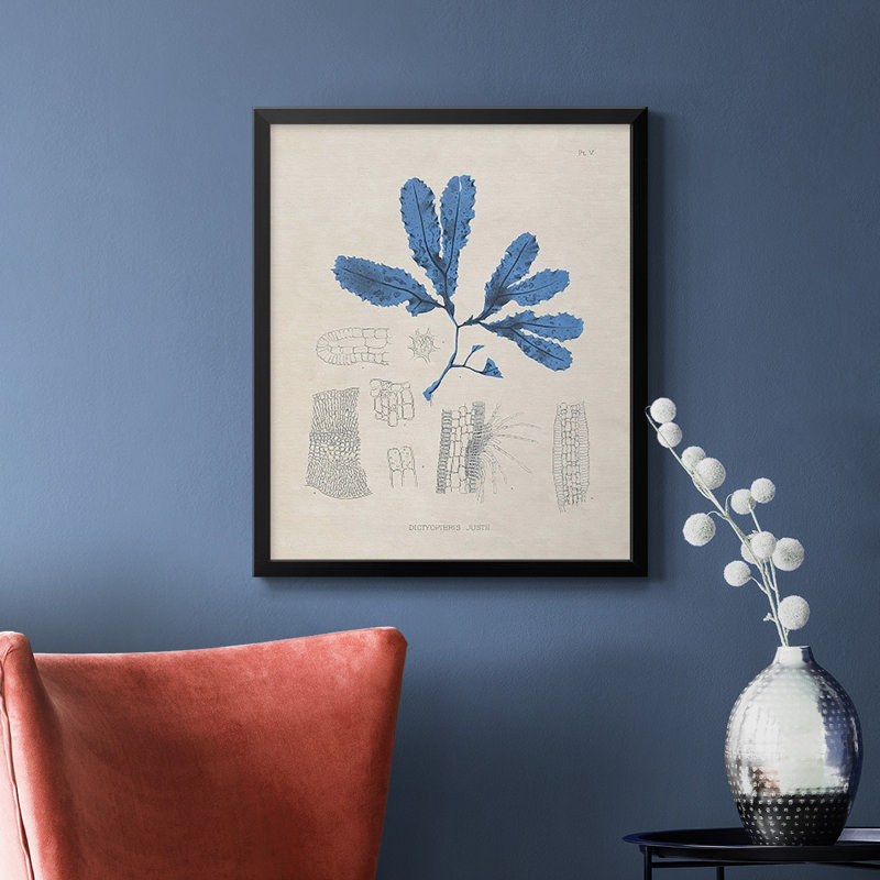 «Blue Marine Algae VII», toile encadrée de qualité supérieure - prête à être accrochée, Noir, H 24 po x l 20 po