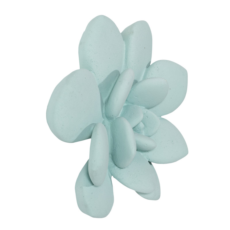 Laui Succulent Wall Art, Green