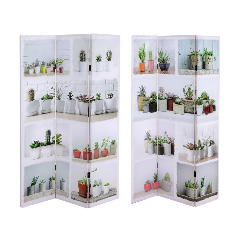 Cloison 3 panneaux Gosnells Succulents