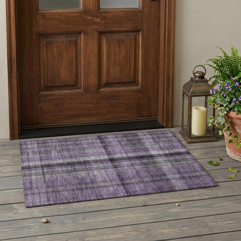 Tapis intérieur lavable antidérapant 2 pi x 3 pi mauve