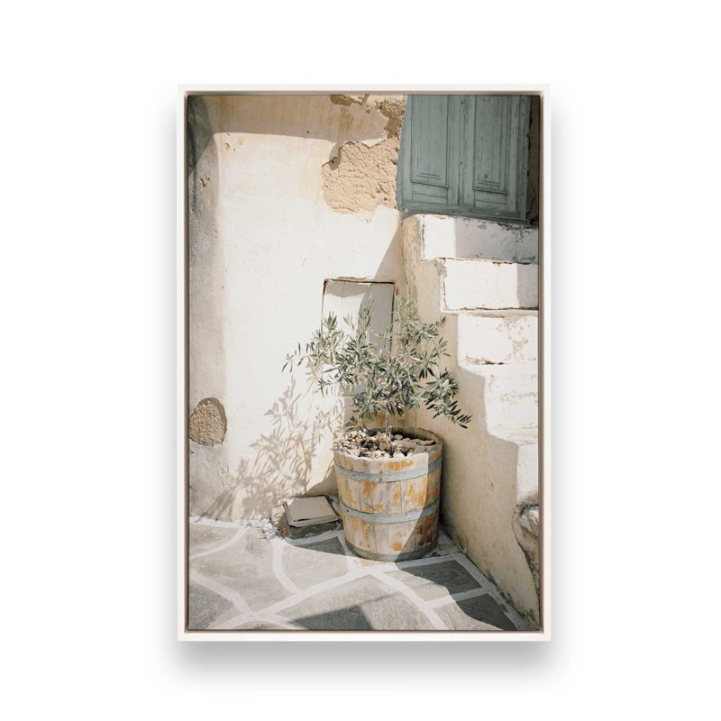 «Olive Tree in the Sun», reproduction sur toile, H 12,75 po x l 8,75 po x P 1,75 po, Cadre flottant blanc opaque