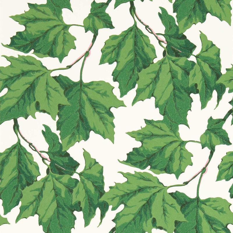 Dappled Leaf Wallpaper, Emerald