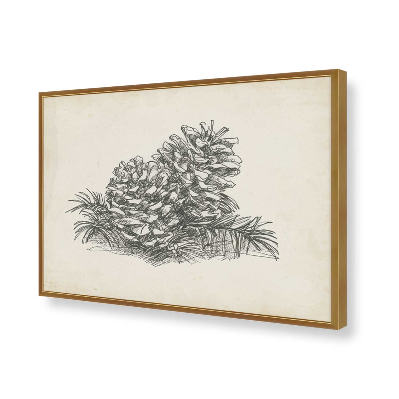 «Christmas Conifers I» par Ethan Harper, reproduction d'art, 12" H x 18" W, Impression sur cadre ouvert sans papier mat, Doré