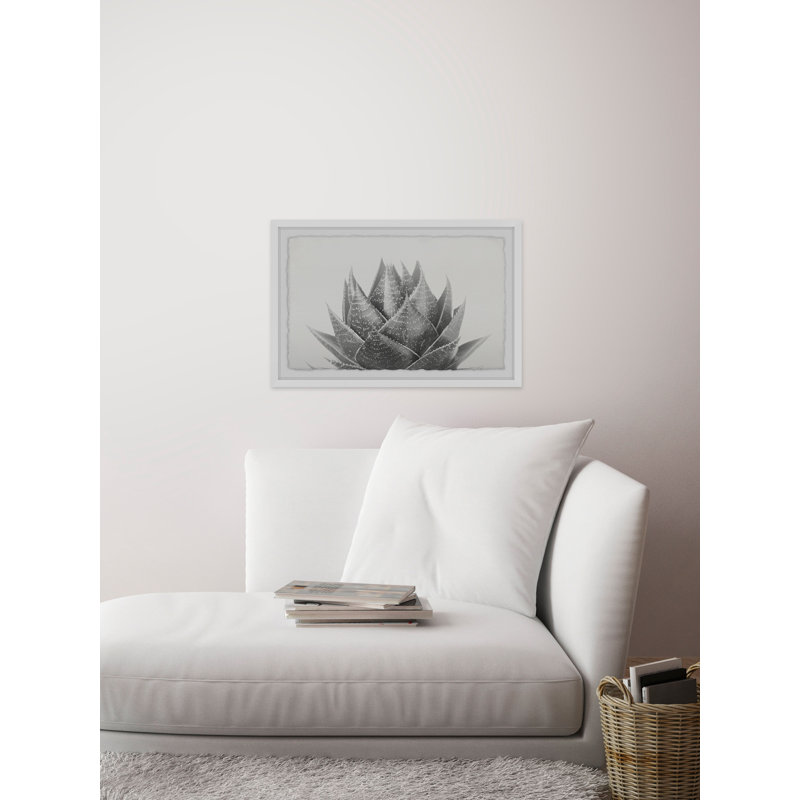 Agave - Single Picture Frame Print, 20cm H x 30cm W x 4cm D, White Framed