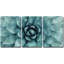 «Minimal Botanical Sharp Pointed Agave Plant Succulent Leaves», ensemble de 3 reproductions de photos sur toiles tendues-56420141