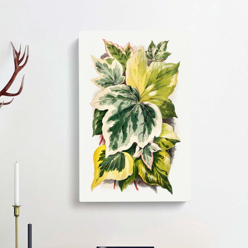 Various Ivy Leaves by Shirley Hibberd - Wrapped Canvas Painting, 60cm H x 40cm W x 3cm D