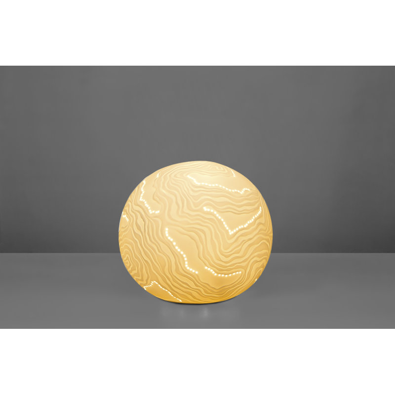 Baryn Novelty Lamp