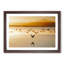 Birds on the Beach - Framed Print-55501126-55501129