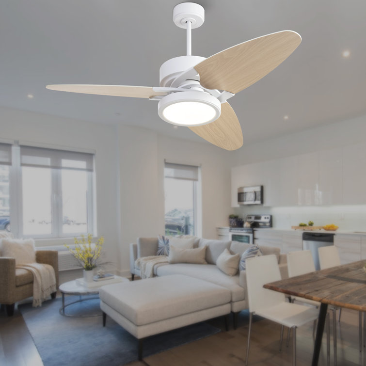 Cieron 52'' Ceiling Fan with LED Lights