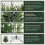 Artificial Christmas Tree-106363852