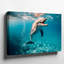Toile, un dauphin vivant qui viole la surface de l'eau turquoise turquoise, son corps brillant et illuminé-2028544929