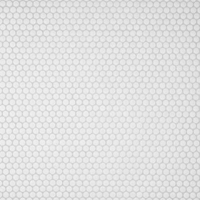 Gotham 1" X 1" Porcelain Penny Round Wall & Floor Tile