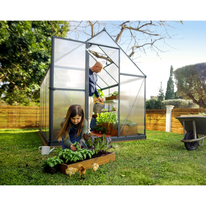 Palram - Canopia Mythos 6' W x 8' D Walk-In Hobby Twin Wall Polycarbonate Aluminum Frame Greenhouse Kit with Roof Vent - Gray