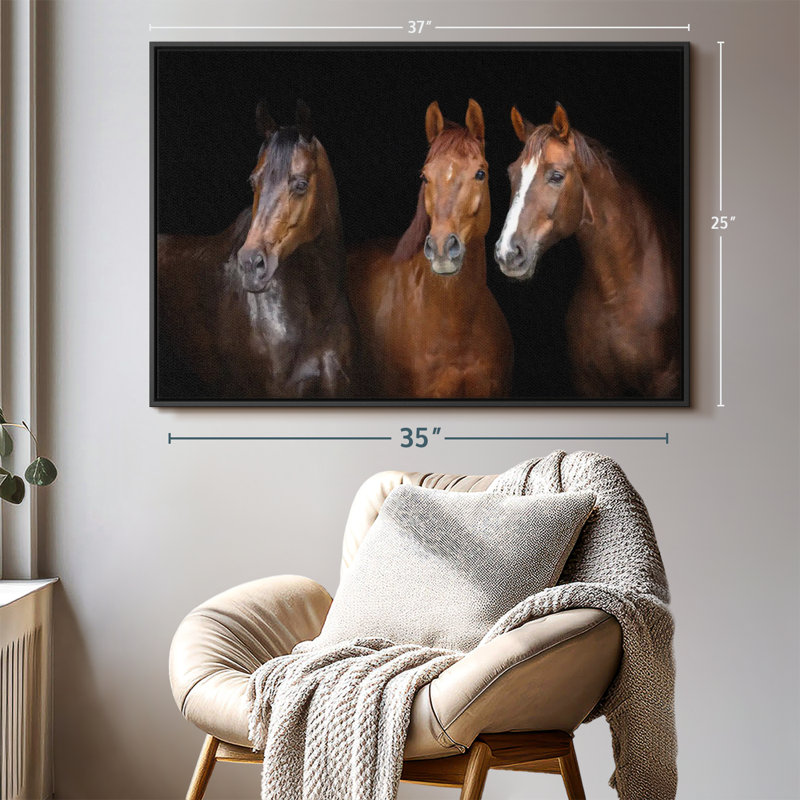 Animal «Brown Stallion Horses, reproduction sur toile», H 25 po x l 37 po