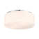Edgemont 4-Light Ceiling Light