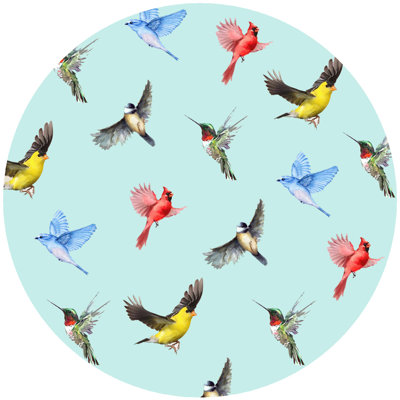 Multi Birds Jar Opener
