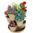Manac Pot Planter-1103074596