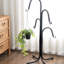 Artificial Plant