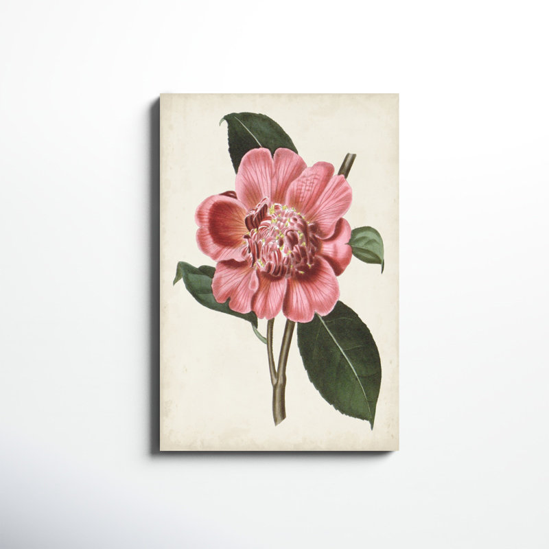 «Carnelian Blooms I», peinture sur toile, H 36 po x l 24 po