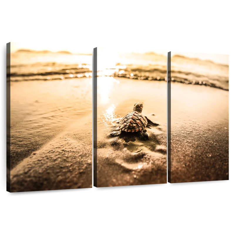 Little Sea Turtle Adventure, 24" H x 38" W
