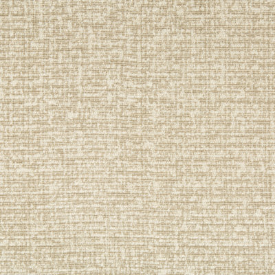 Performance Crypton Home Fabric