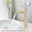 Grand robinet moderne en acier inoxydable à poignée simple pour lavabo