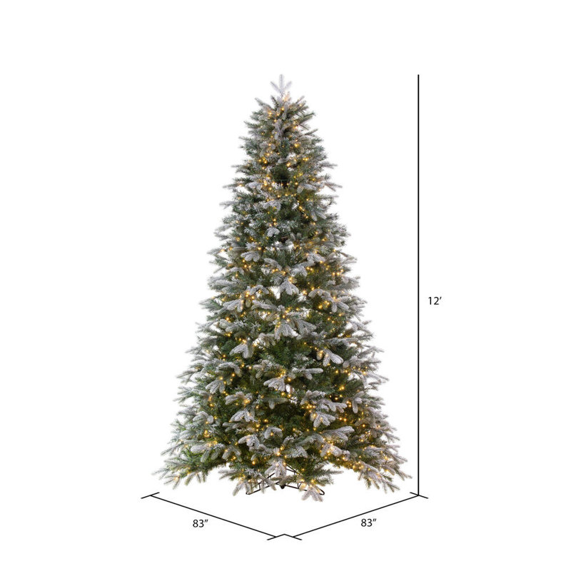 Douglas 138' H Lighted Artificial Fir Christmas Tree
