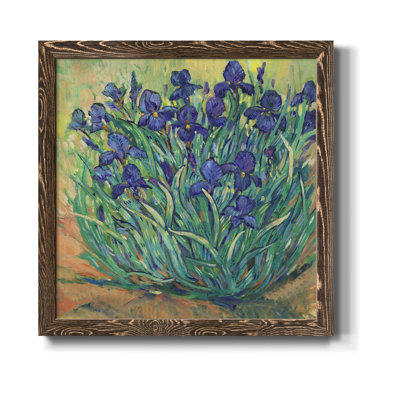 " Irises In Bloom I "