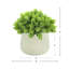 Faux Succulent in Fiberstone Pot-1601367899