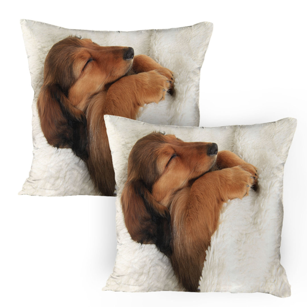 Kissenbezug Packung mit 2, Puppy Sleeping in seinem Bett, Ivory Zimt