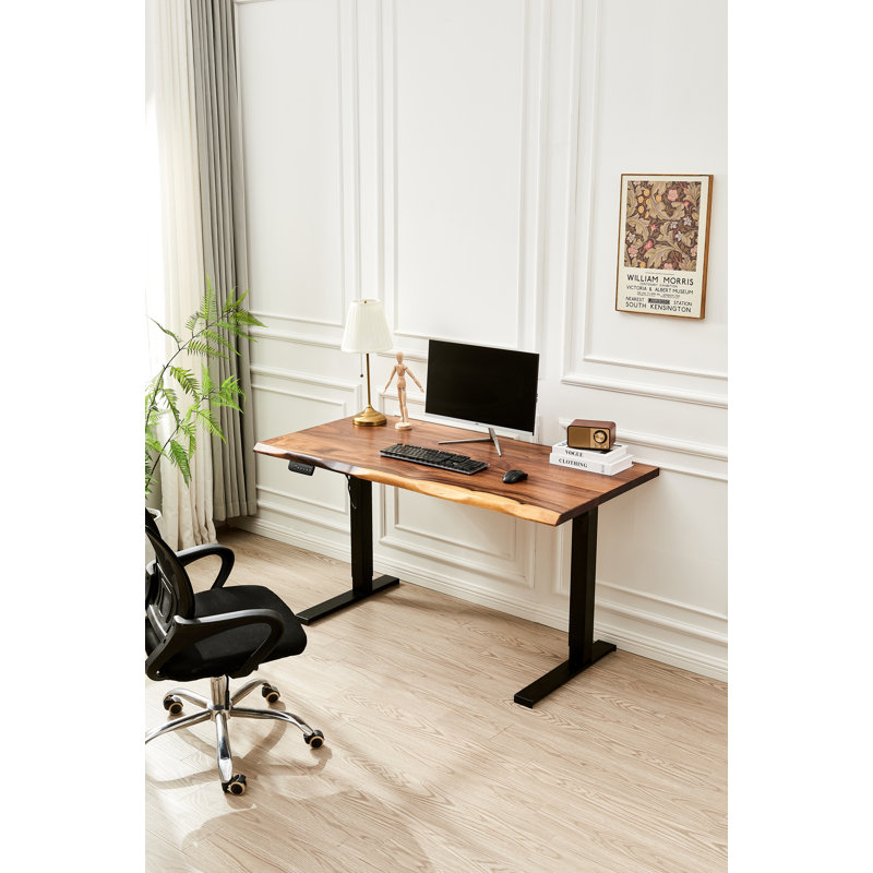 Bureau debout ajustable en noyer d'Amérique du Sud, bureau Live Edge, Noir, H 29,5 po x l 58 po x P 28 po
